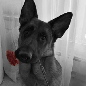 Meet your Posher, Leigh